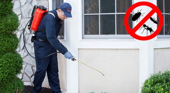 Ardahan Dezenfeksiyon böcek ilaçlama ve haşere kontrolü — ilaclama-tr.com